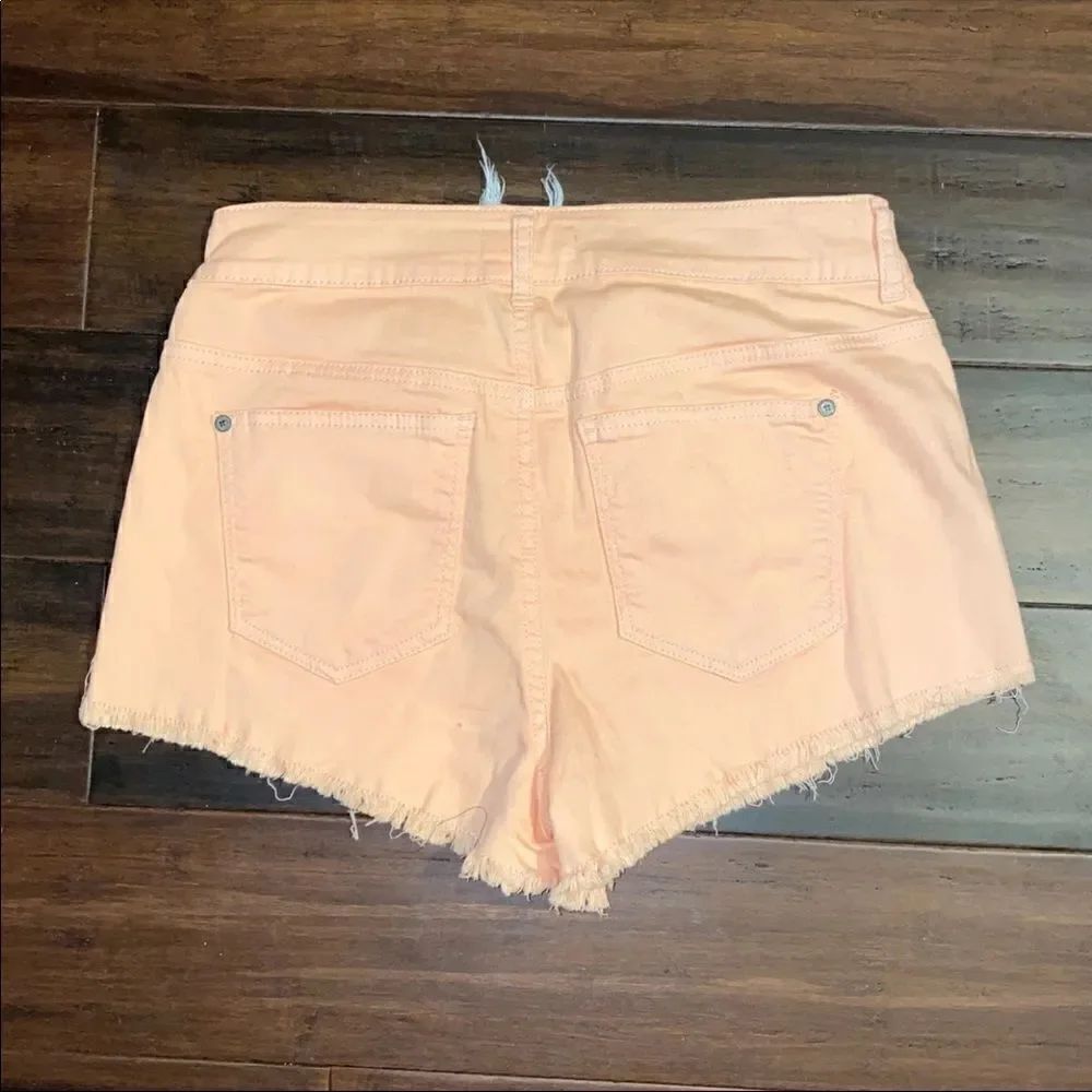 Altar'dState Shorts   - Picture 3 of 3